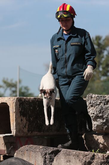 Training service dogs for EMERCOM