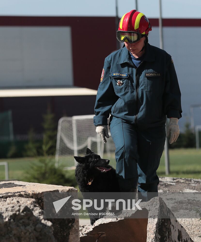 Training service dogs for EMERCOM