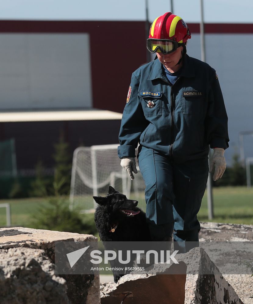 Training service dogs for EMERCOM