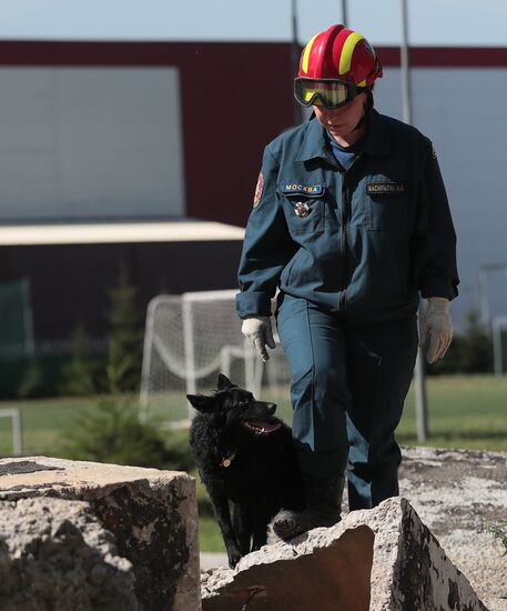 Training service dogs for EMERCOM