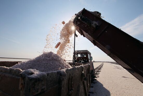 Salt harvesting on Sasyk-Sivash lake