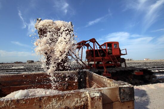 Salt harvesting on Sasyk-Sivash lake