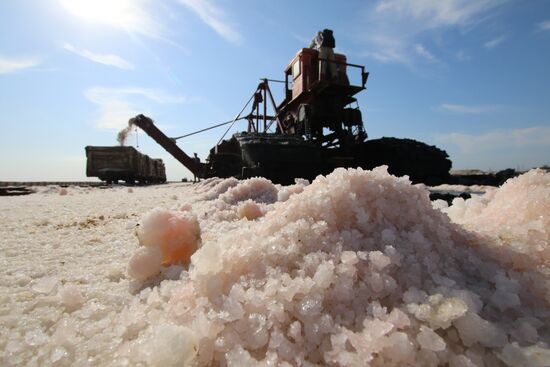 Salt harvesting on Sasyk-Sivash lake
