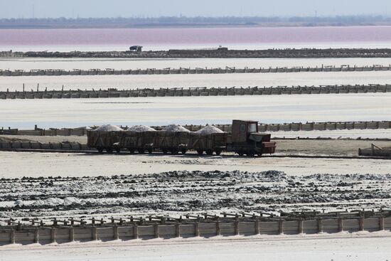 Salt harvesting on Sasyk-Sivash lake