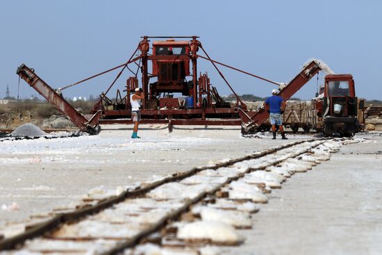 Salt harvesting on Sasyk-Sivash lake