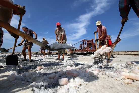 Salt harvesting on Sasyk-Sivash lake