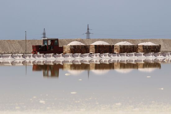 Salt harvesting on Sasyk-Sivash lake