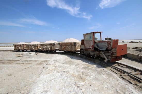 Salt harvesting on Sasyk-Sivash lake