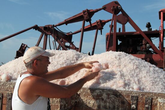 Salt harvesting on Sasyk-Sivash lake