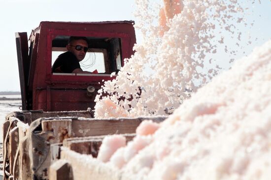 Salt harvesting on Sasyk-Sivash lake