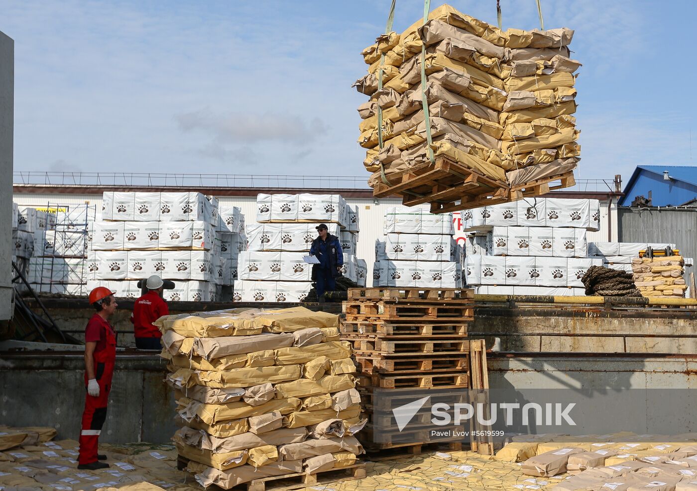 Steam vessel with Far Eastern salmon arrives in Arkhangelsk