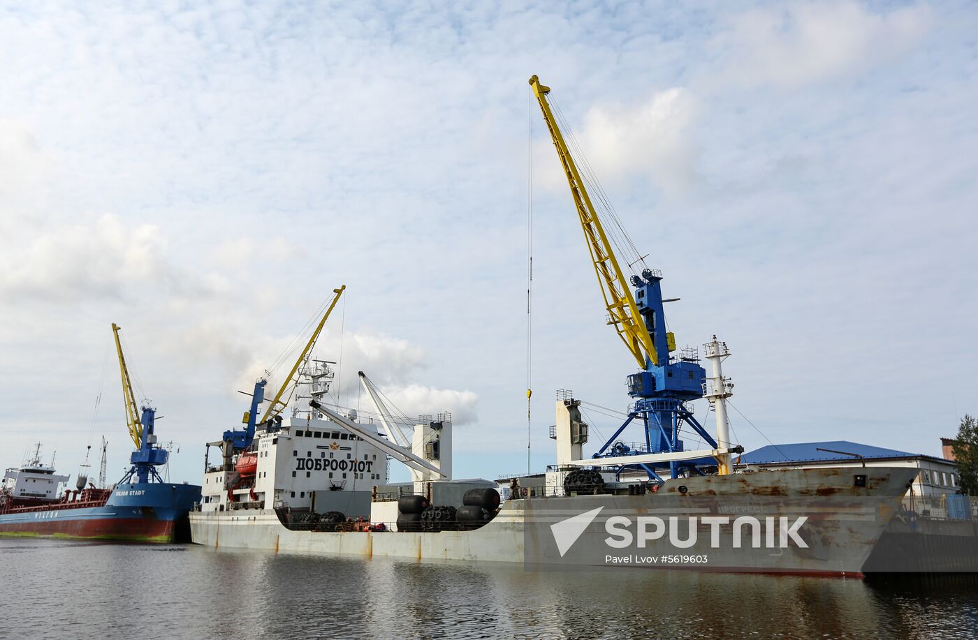 Steam vessel with Far Eastern salmon arrives in Arkhangelsk