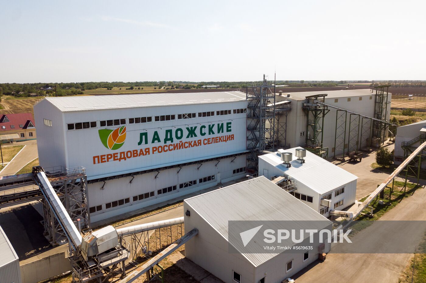 Corn harvesting in Krasnodar Territory