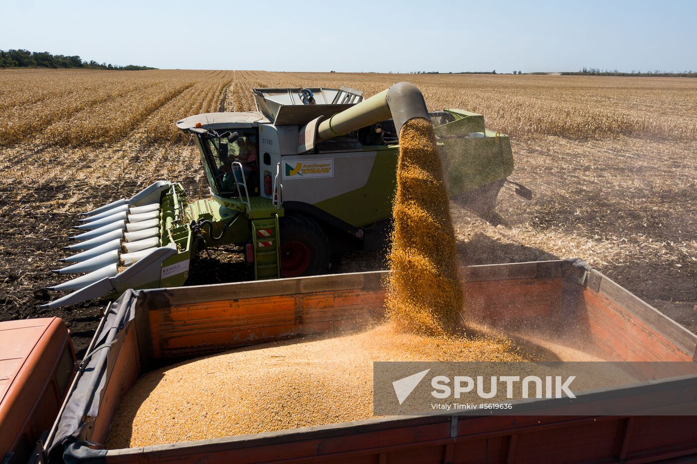 Corn harvesting in Krasnodar Territory