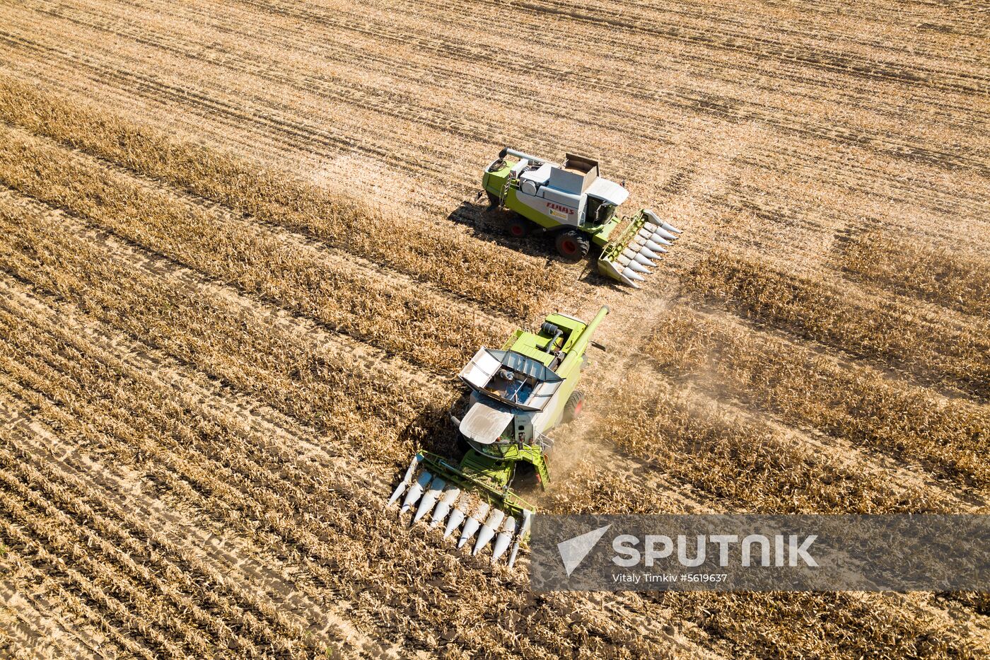 Corn harvesting in Krasnodar Territory