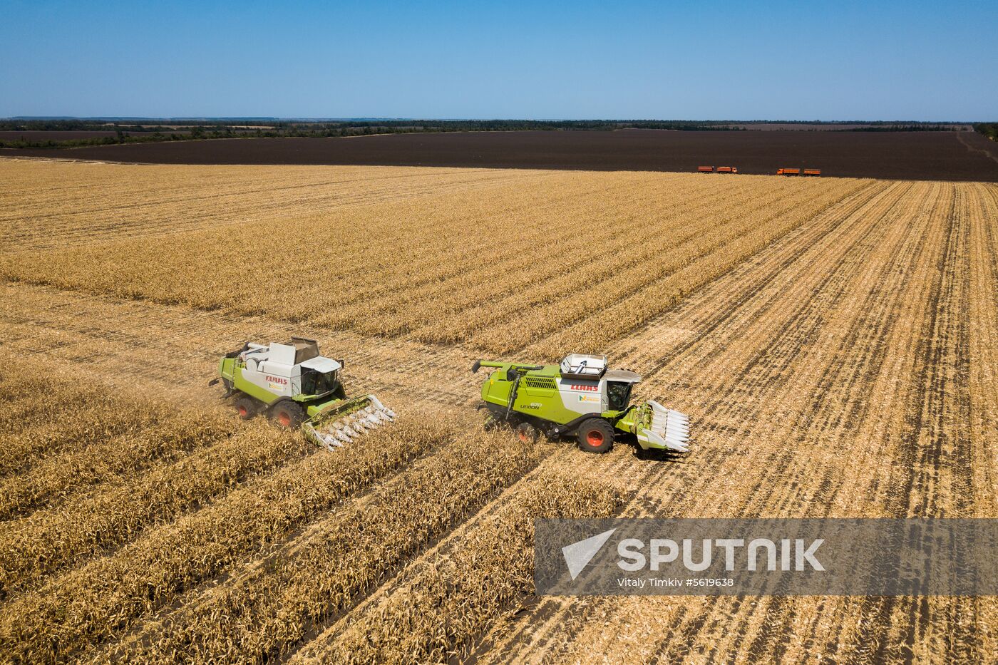 Corn harvesting in Krasnodar Territory