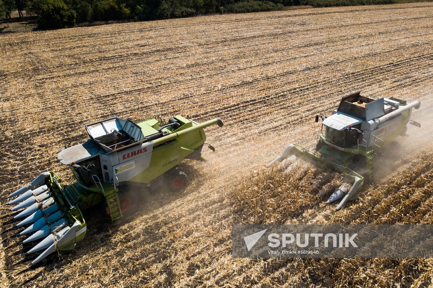 Corn harvesting in Krasnodar Territory