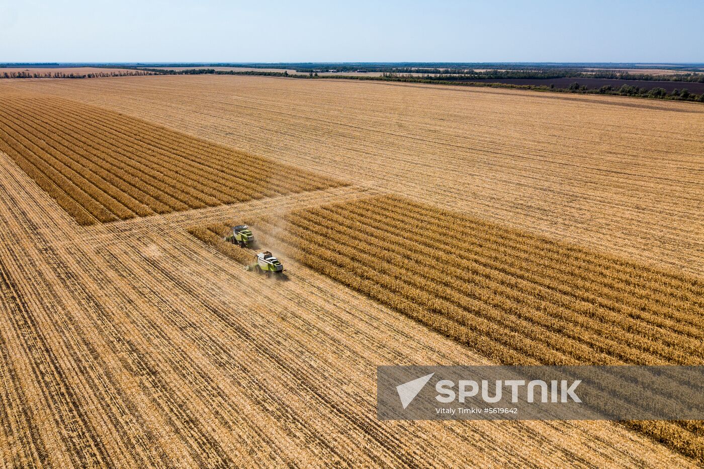 Corn harvesting in Krasnodar Territory