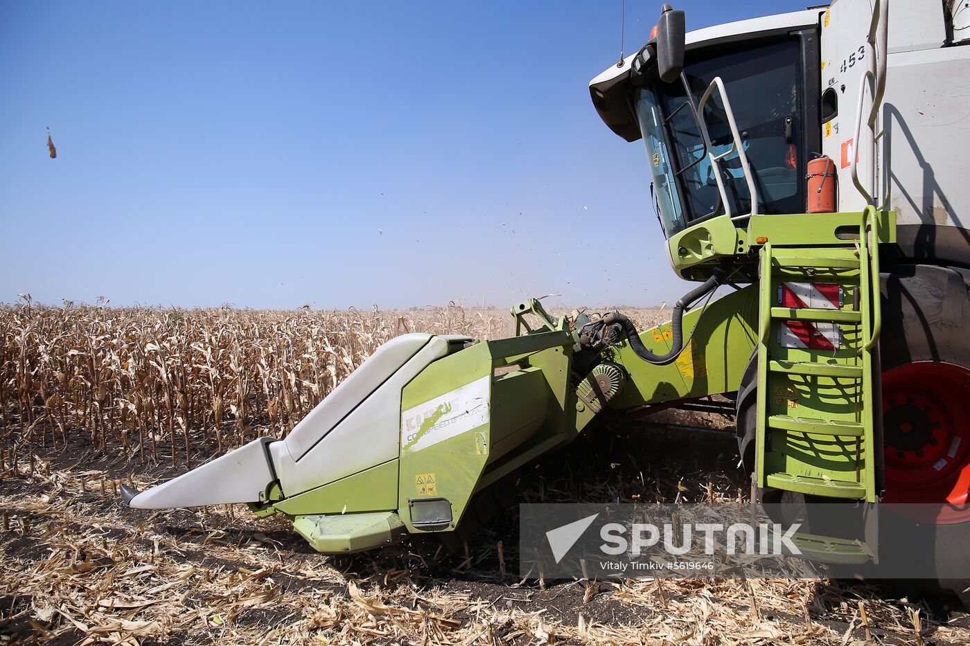 Corn harvesting in Krasnodar Territory