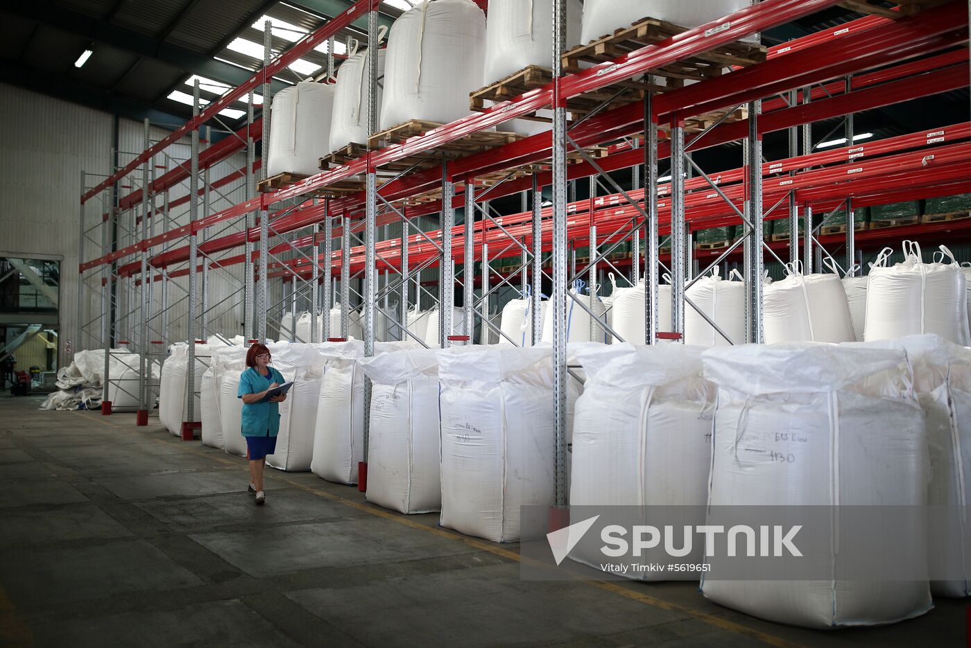 Corn harvesting in Krasnodar Territory