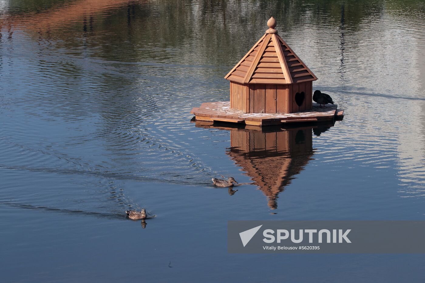Yuzhnoye Butovo landscape park