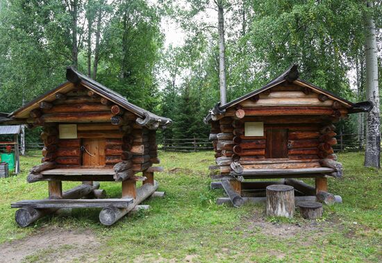 Russian cities. Arkhangelsk
