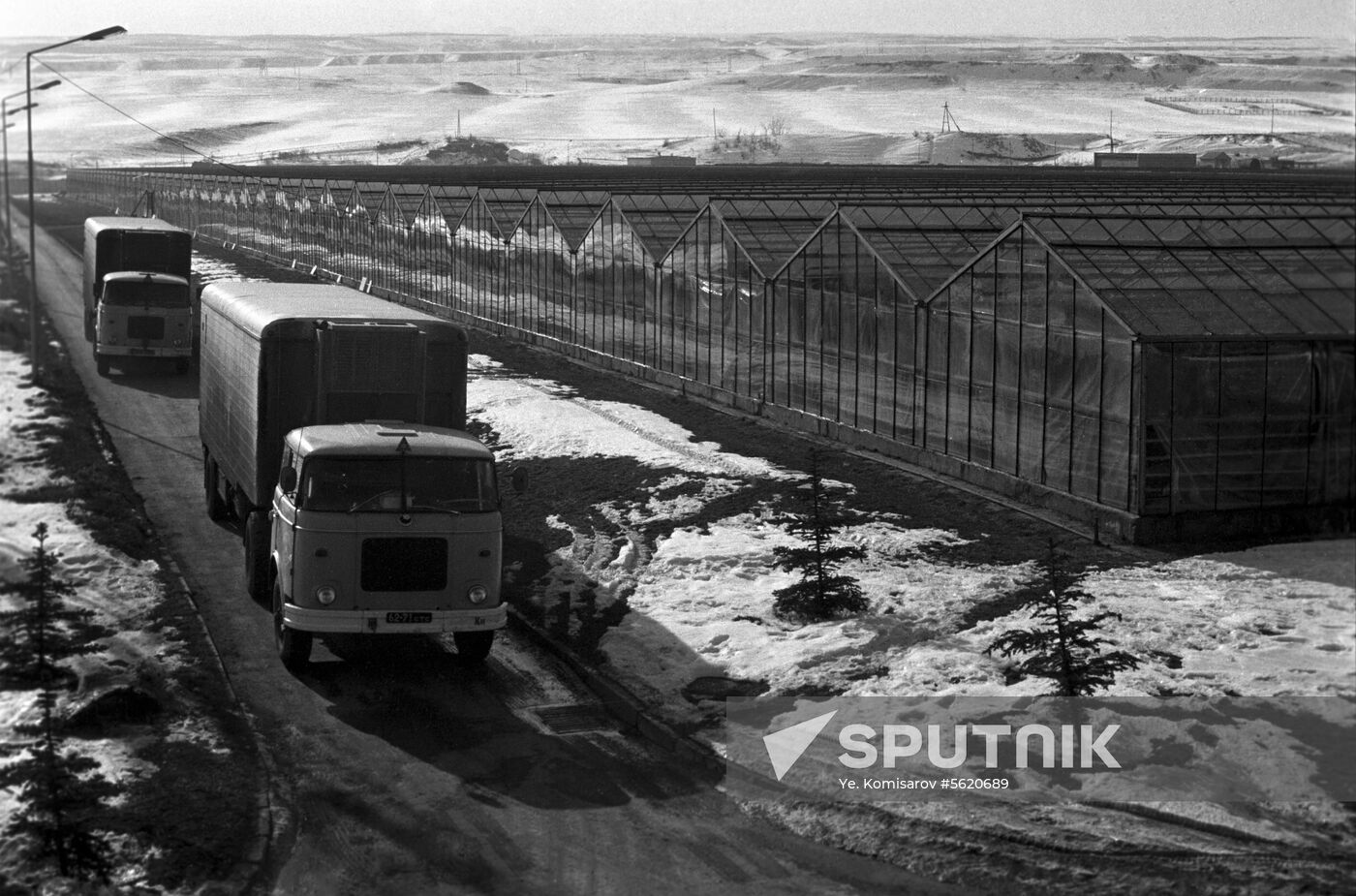 Kislovodsky greenhouse complex