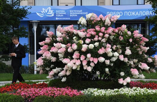 Vladivostok prepares for Eastern Economic Forum