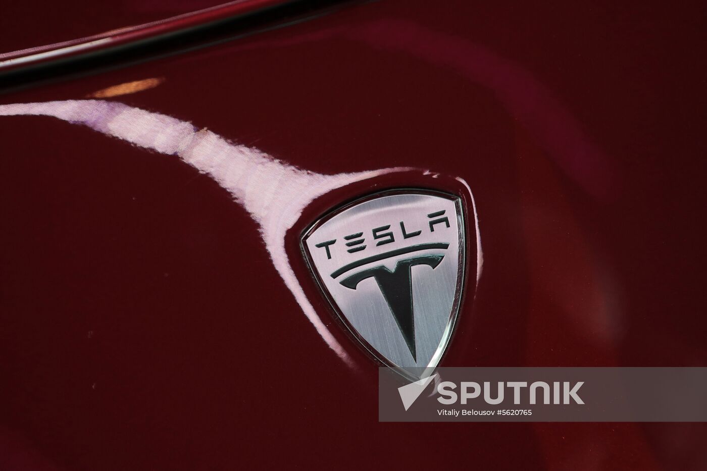 Moscow Tesla Club motor show