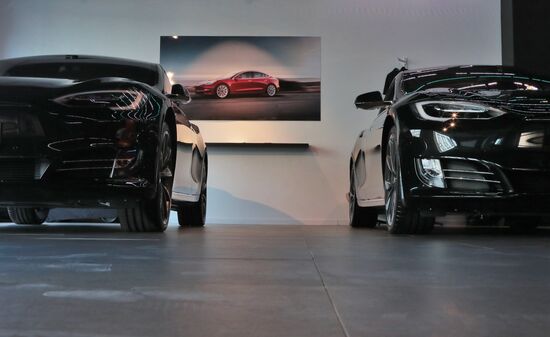 Moscow Tesla Club motor show