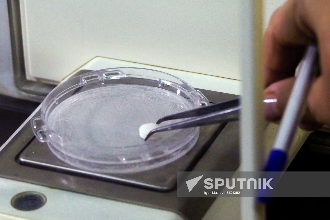 Stirolbiopharm pharmaceutical plant in Donetsk Region