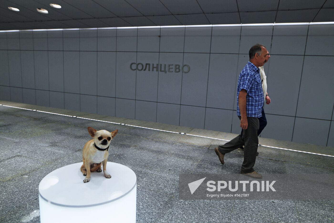 Moscow Mayor Sobyanin unveils new metro section