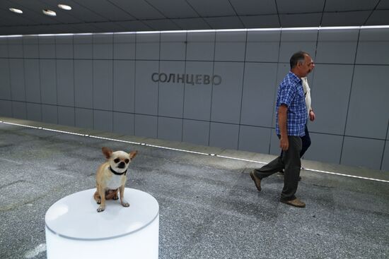 Moscow Mayor Sobyanin unveils new metro section