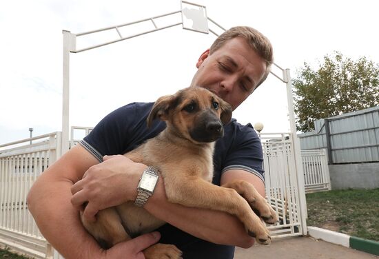 Zelenograd homeless animal shelter