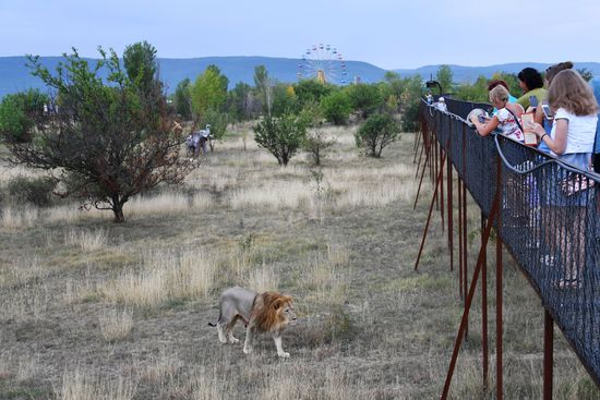 Taigan Safari Park in Crimea