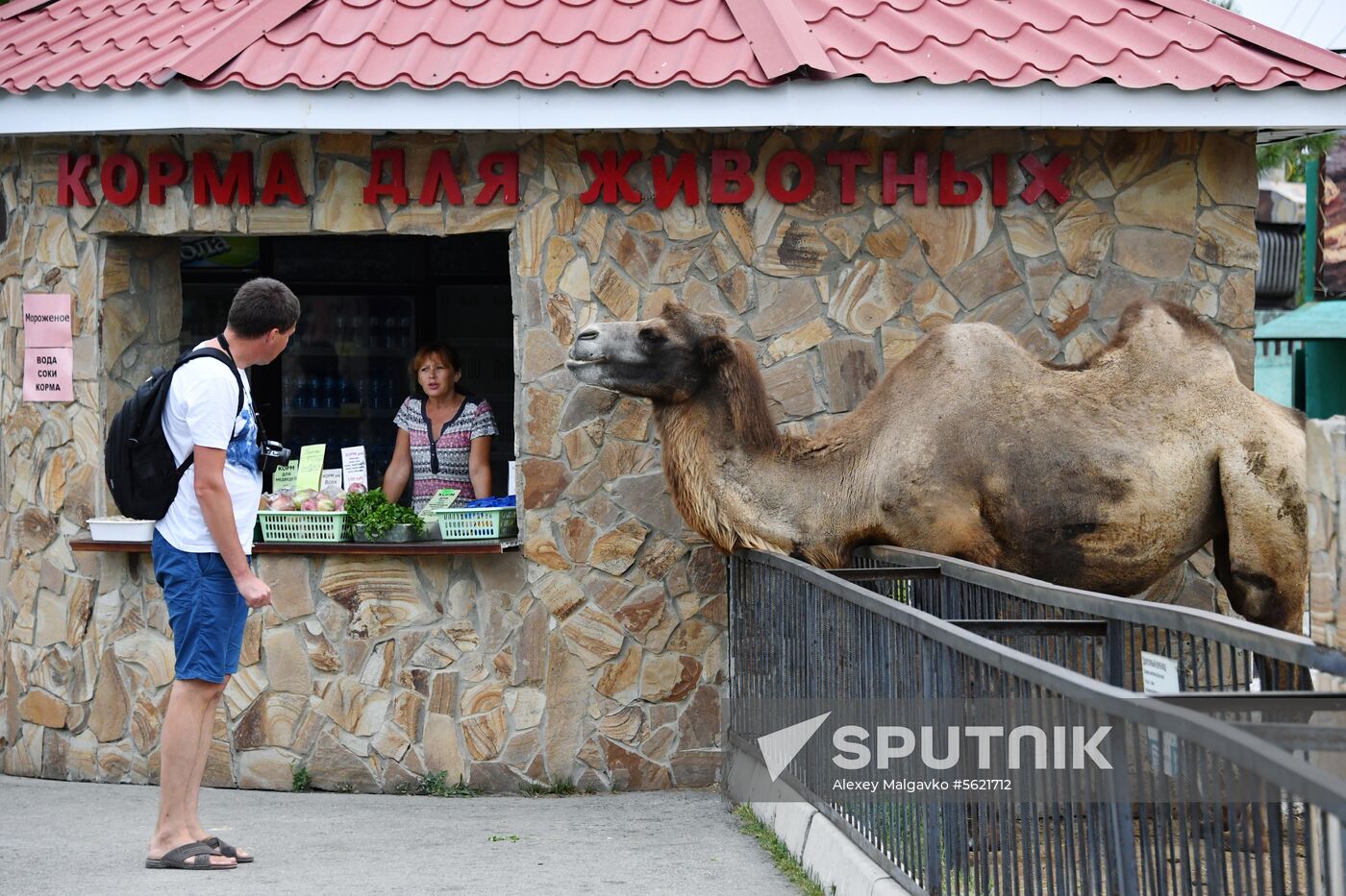 Taigan Safari Park in Crimea