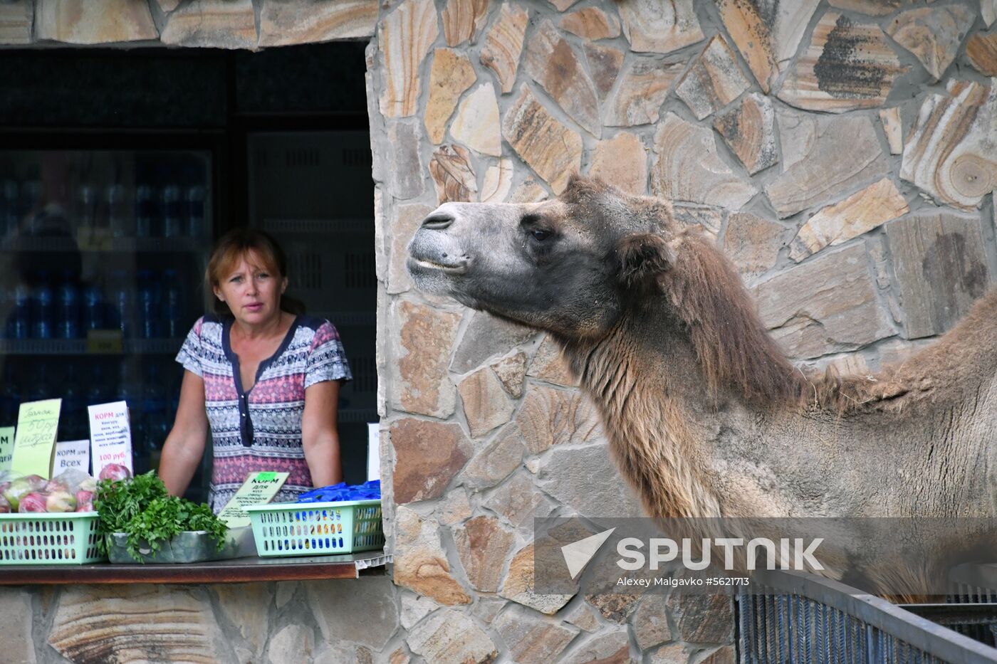 Taigan Safari Park in Crimea