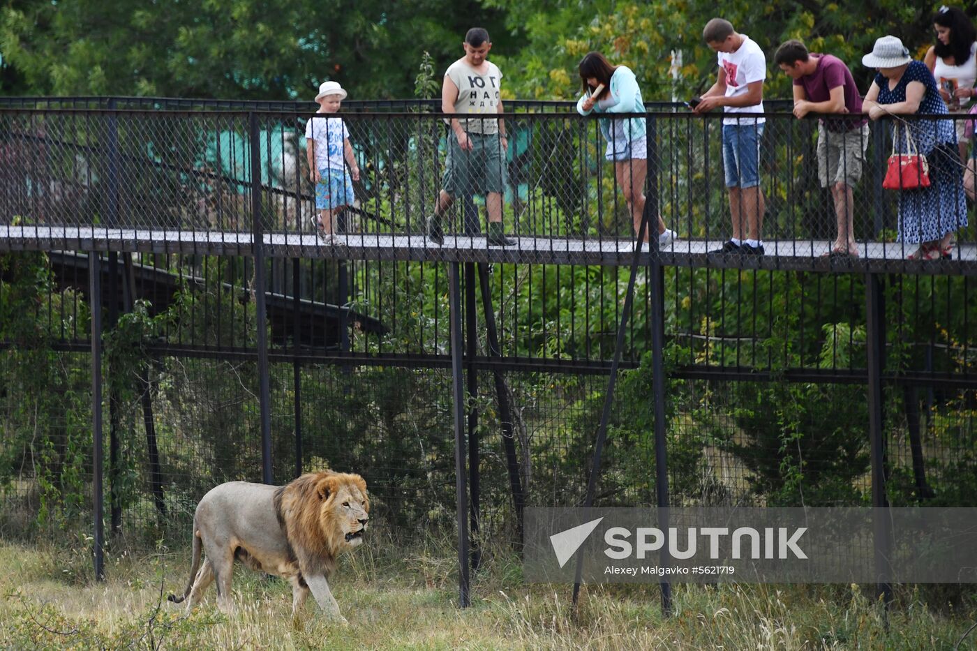 Taigan Safari Park in Crimea