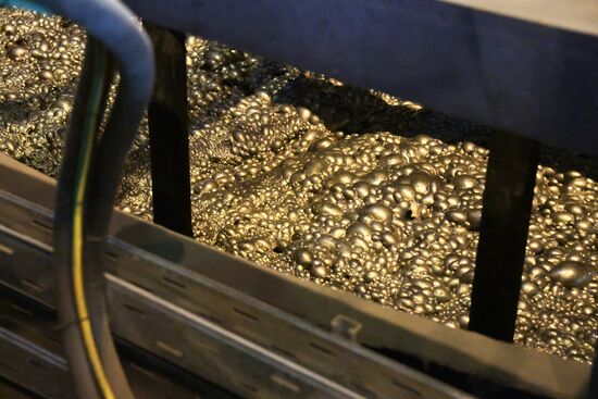 Bystrinsky Mining and Processing Plant