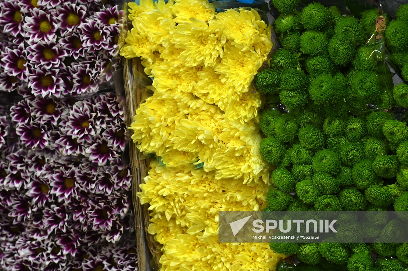 Selling flowers ahead of school year