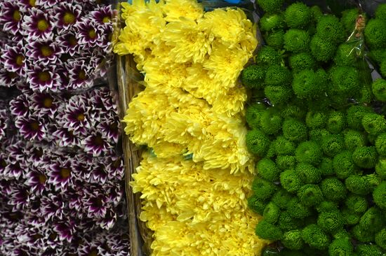Selling flowers ahead of school year