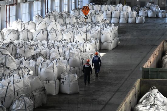 Bystrinsky Mining and Processing Plant