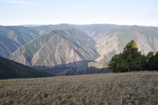 Sayano-Shushensky natural reserve