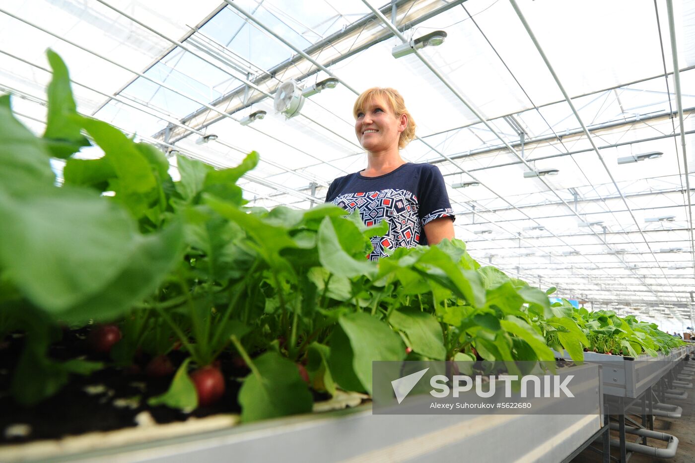Greenhouse farm in Tambov Region