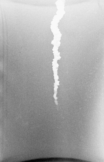 Soyuz 10 spaceship flight