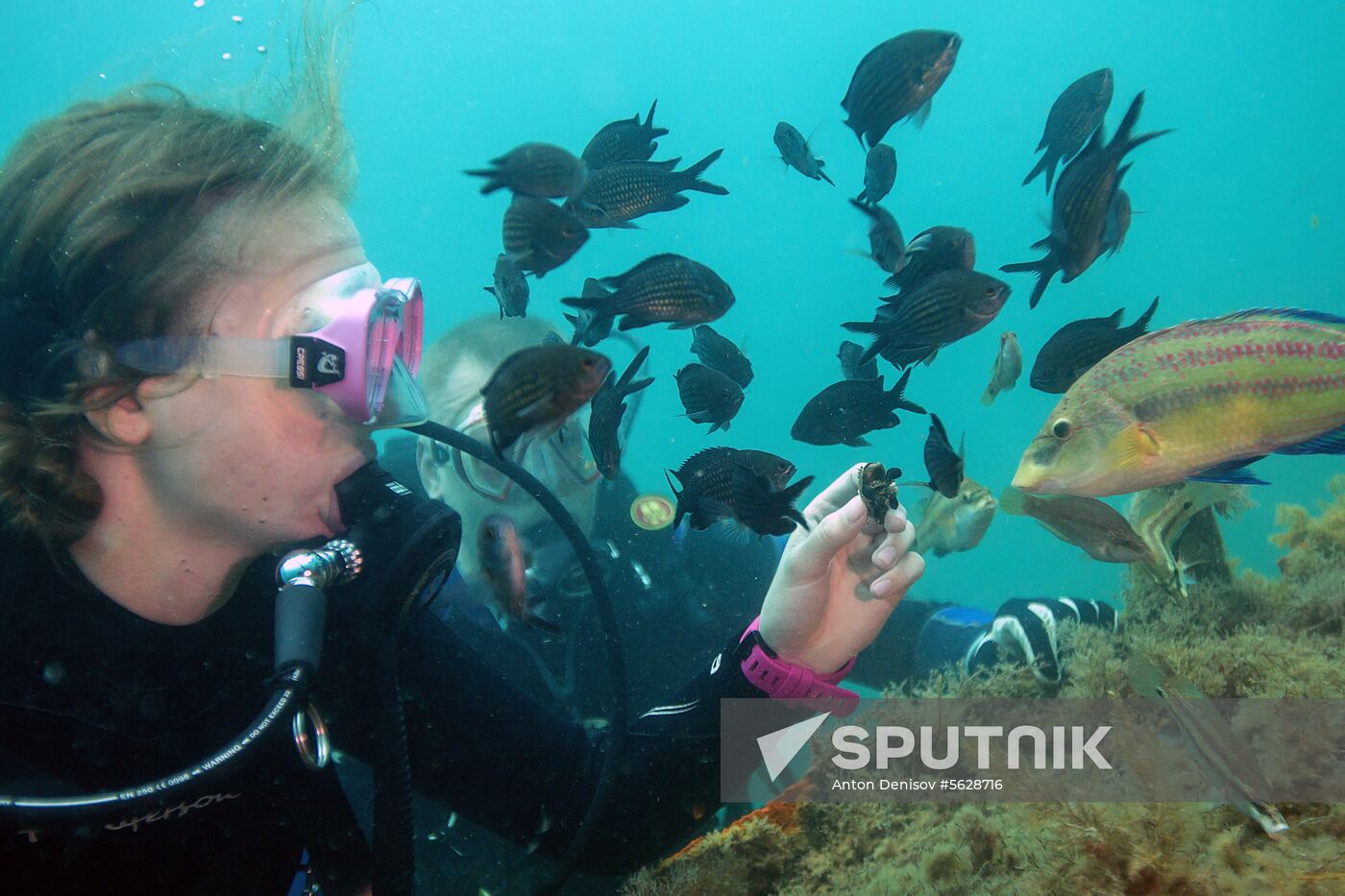 Russia Crimea Diving