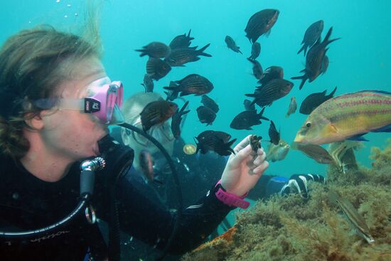 Russia Crimea Diving