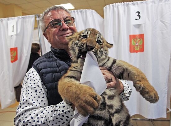 Russia Elections