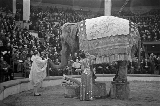 Moscow circus