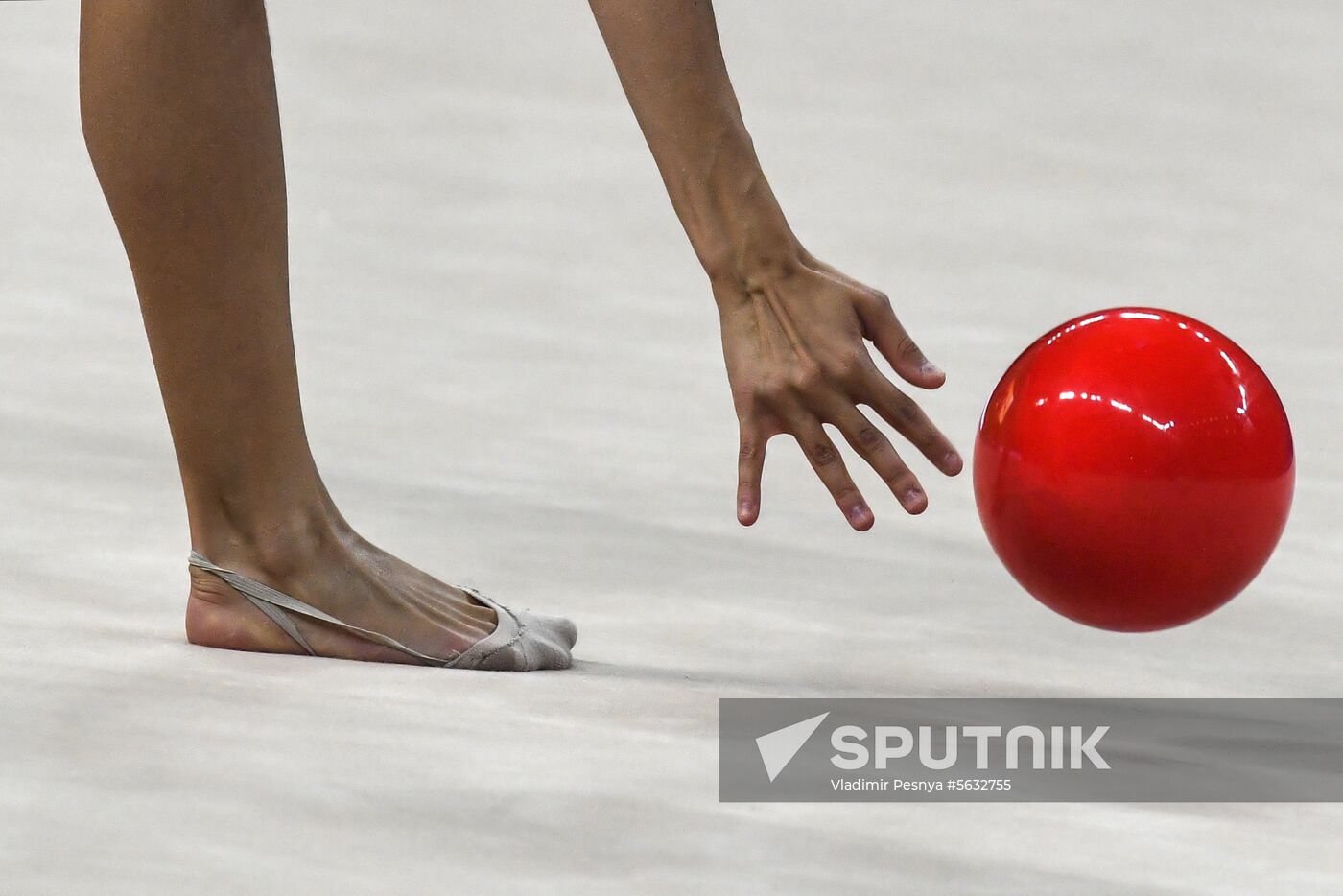 Bulgaria Rhythmic Gymnastics Worlds